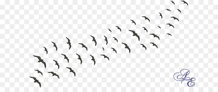 Bird migration Flock Common starling Beak - Bird png download - 722*361 - Free Transparent Bird png Download.