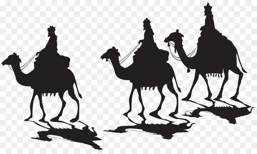 Dromedary Silhouette Clip art - Silhouette png download - 8000*4700 - Free Transparent Dromedary png Download.