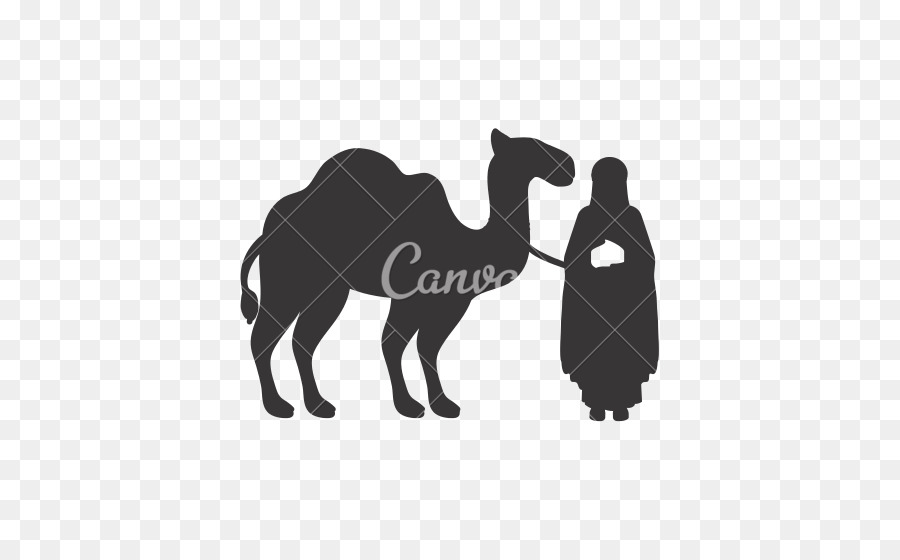 Dromedary Drawing Silhouette - Wise Man png download - 550*550 - Free Transparent Dromedary png Download.