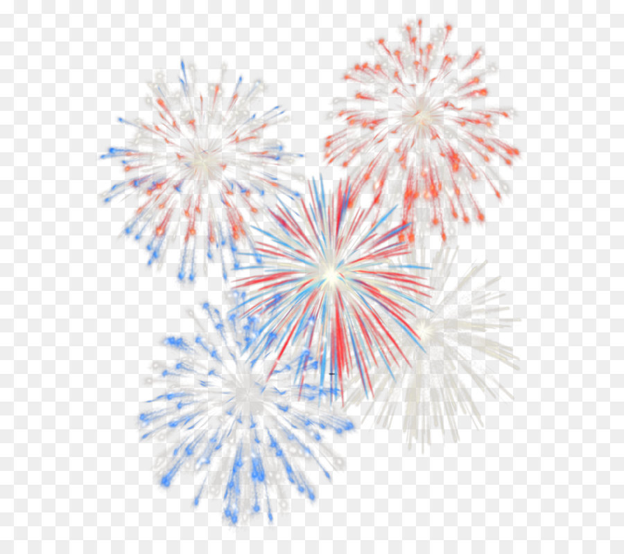 Fireworks Independence Day Clip art - 4th July Transparent Fireworks PNG Picture png download - 665*801 - Free Transparent United States png Download.