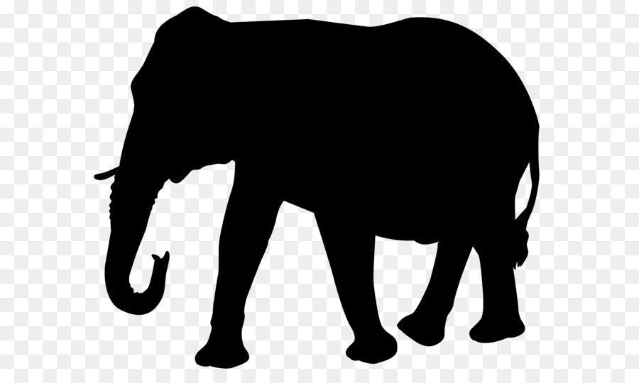 Transparent Elephant Indian elephant - Elephant Silhouette PNG Transparent Clip Art Image png download - 8000*6490 - Free Transparent African Elephant png Download.