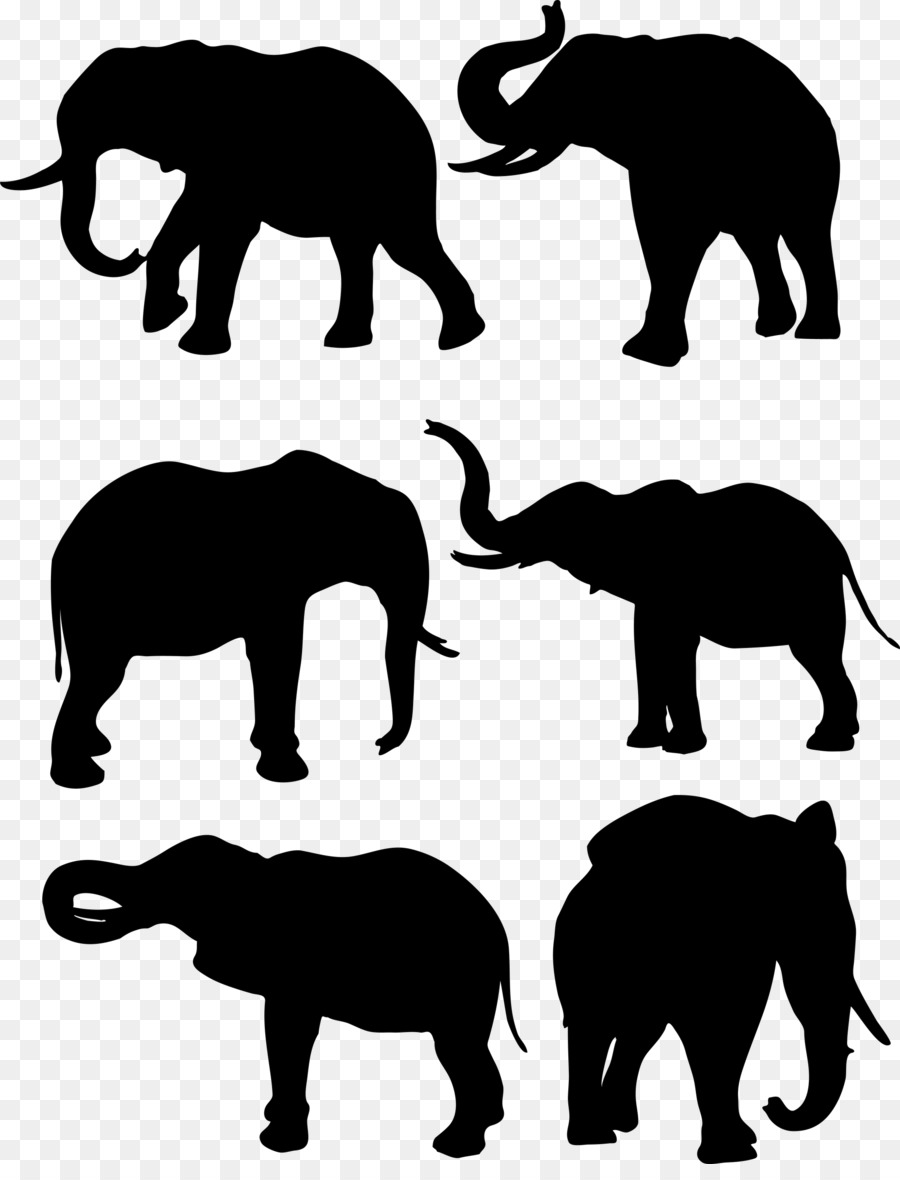 African elephant Drawing - elephants png download - 1856*2400 - Free Transparent African Elephant png Download.