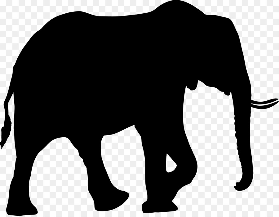 African elephant Silhouette Bear Clip art - elephany png download - 2444*1890 - Free Transparent Elephant png Download.