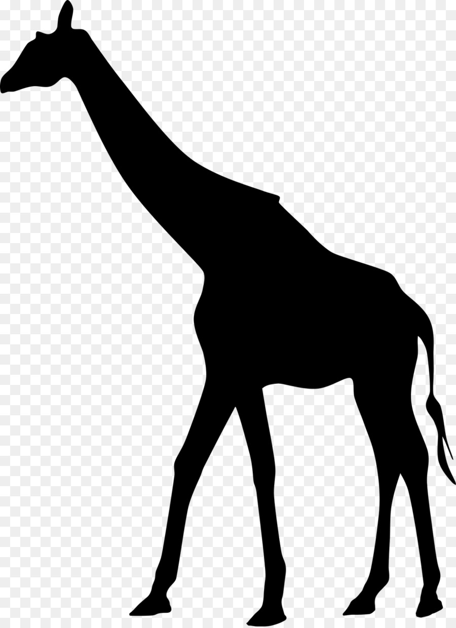 West African giraffe Silhouette Clip art - Africa png download - 931*1280 - Free Transparent West African Giraffe png Download.
