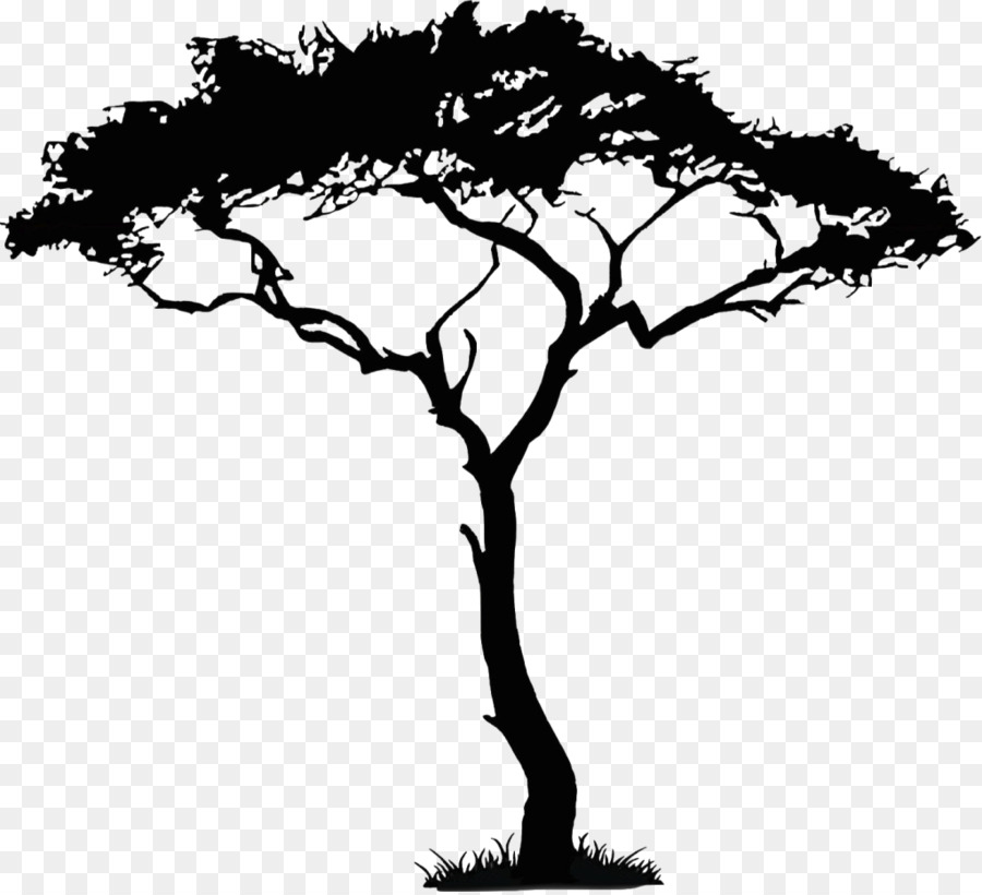 African Trees Clip art - walnut png download - 1024*930 - Free Transparent African Trees png Download.