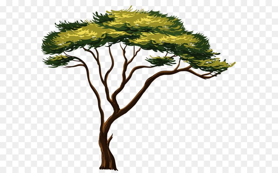 Africa Tree Clip art - Painted African Tree PNG Clipart Picture png download - 4792*4120 - Free Transparent African Trees png Download.
