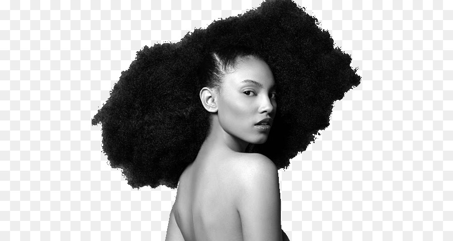 Afro-textured hair Hairstyle Natural hair movement - hair png download - 640*480 - Free Transparent Afrotextured Hair png Download.