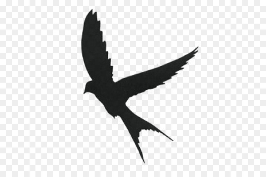 Silhouette Mockingbird Swallow - Silhouette png download - 600*600 - Free Transparent Silhouette png Download.