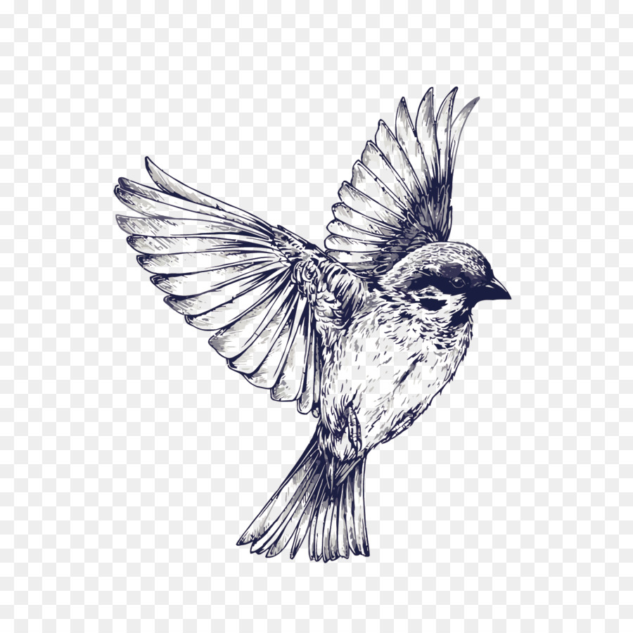 Bird flight Tattoo Drawing Swallow - Vector hand painted sparrow png download - 1500*1500 - Free Transparent Bird png Download.