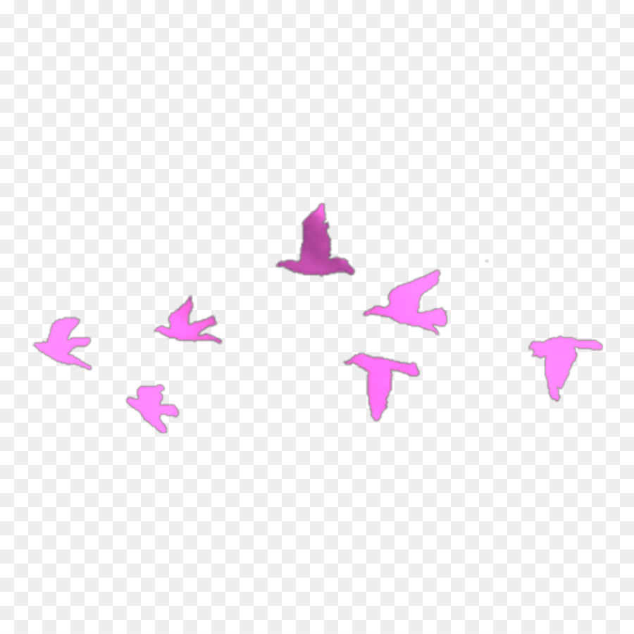 Bird flight Swallow Flock Tattoo - Bird png download - 2000*2000 - Free Transparent Bird png Download.
