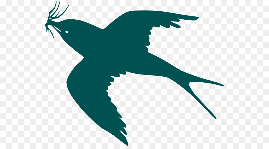 Bird flight Bird flight Silhouette Clip art - Frigate Bird Tattoo png download - 600*491 - Free Transparent Bird png Download.