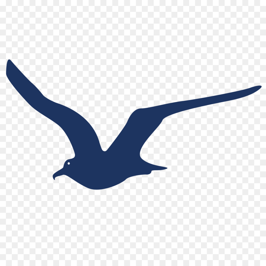 Gulls Silhouette - bird fleas png download - 2083*2083 - Free Transparent Gulls png Download.