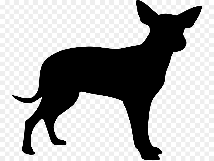Boxer Labrador Retriever Akita Puppy Pet sitting - puppy png download - 800*677 - Free Transparent Boxer png Download.