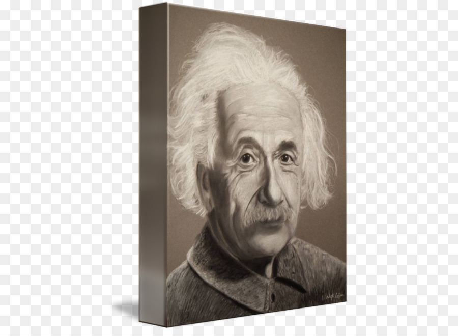 Albert Einstein Gallery wrap Portrait Nose Canvas - albert einstien png download - 474*650 - Free Transparent Albert Einstein png Download.