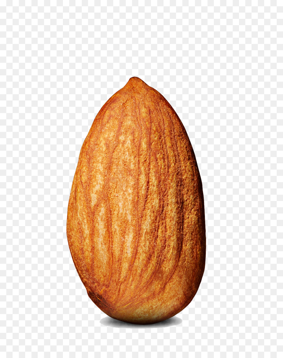 Almond Clip art - Almond PNG Photos png download - 1000*1266 - Free Transparent Almond png Download.
