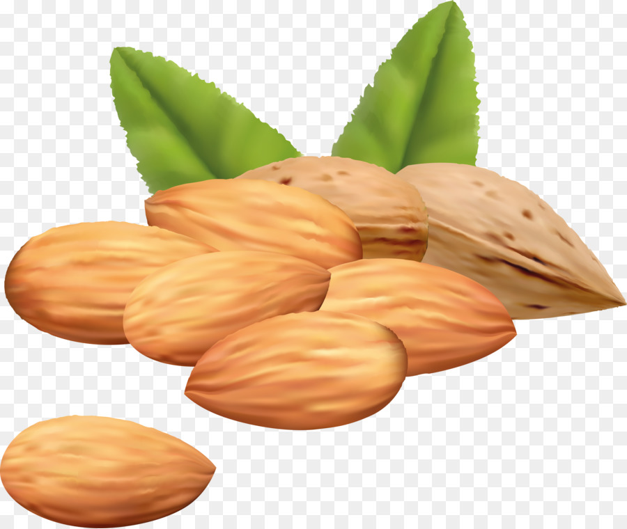 Mixed nuts Clip art - almond png download - 7193*6067 - Free Transparent Mixed Nuts png Download.