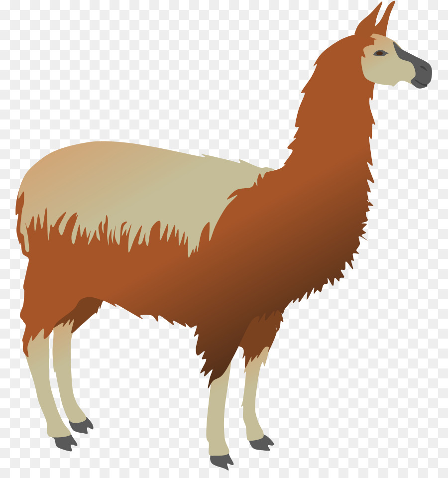 Llama Alpaca Vicu�a Pack animal Clip art - mug png download - 839*946 - Free Transparent Llama png Download.