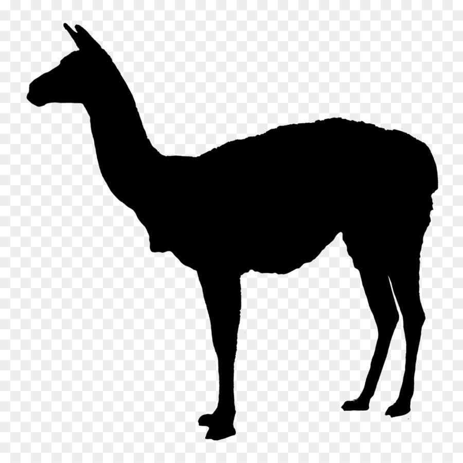 Llama Deer Clip art - back silhouette png download - 1024*1024 - Free Transparent Llama png Download.