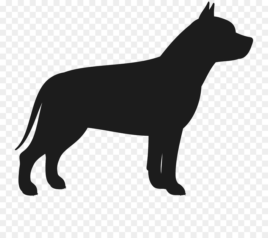 French Bulldog American Bulldog Yorkshire Terrier Boston Terrier - pitbull png download - 800*800 - Free Transparent French Bulldog png Download.
