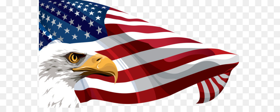 Flag of the United States Clip art - American Flag and Eagle Transparent PNG Clip Art Image png download - 8000*4259 - Free Transparent United States png Download.