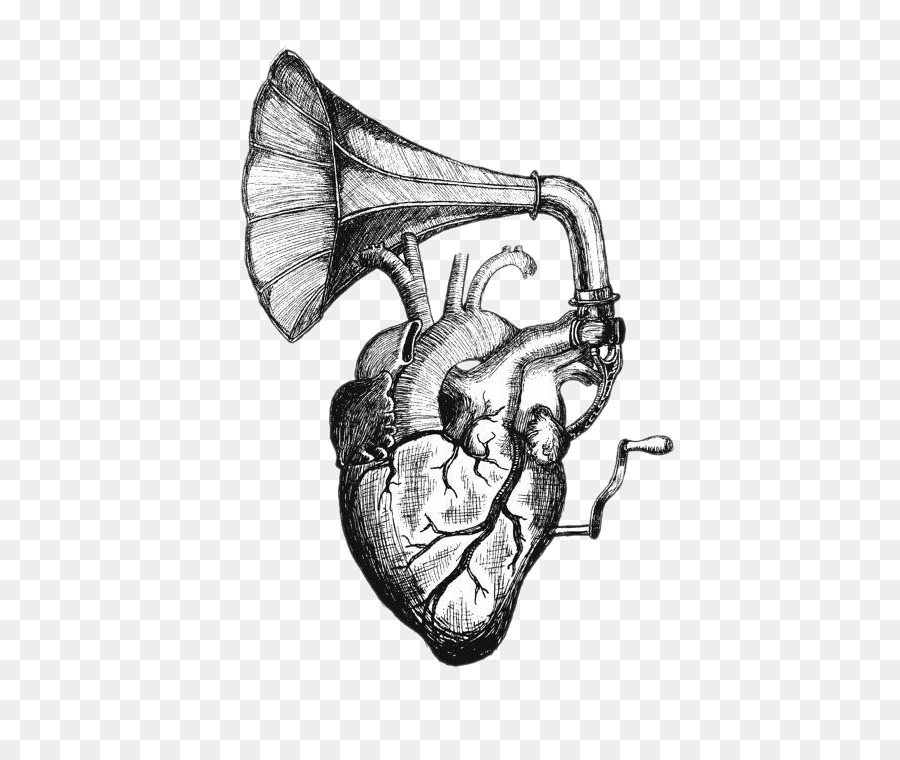 Heart sounds Drawing Tattoo Anatomy - Heart Speaker png download - 570*760 - Free Transparent  png Download.