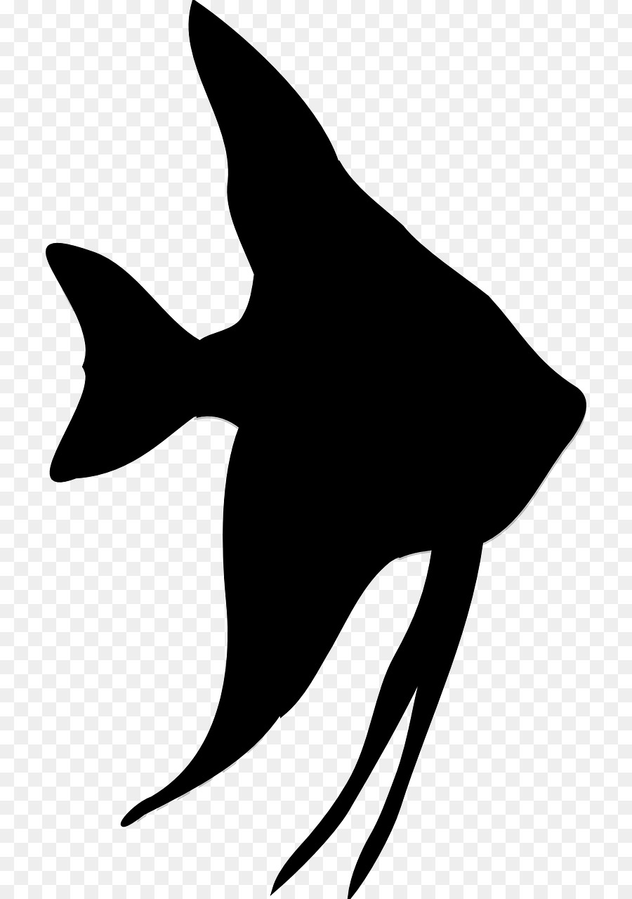Silhouette Fish Clip art - starfish png download - 770*1280 - Free Transparent Silhouette png Download.
