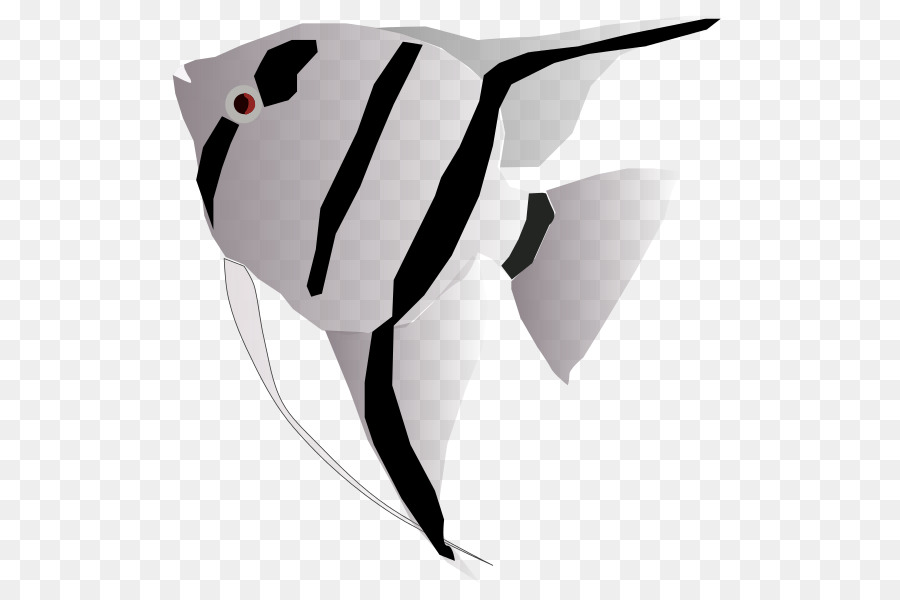 Freshwater angelfish Clip art - fish png download - 586*600 - Free Transparent Freshwater Angelfish png Download.