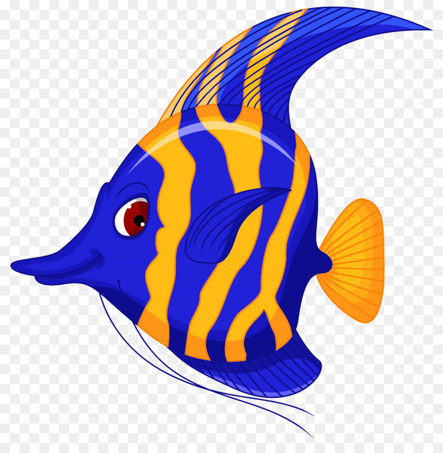 Angelfish Cartoon Clip art - One fish png download - 978*980 - Free Transparent Angelfish png Download.