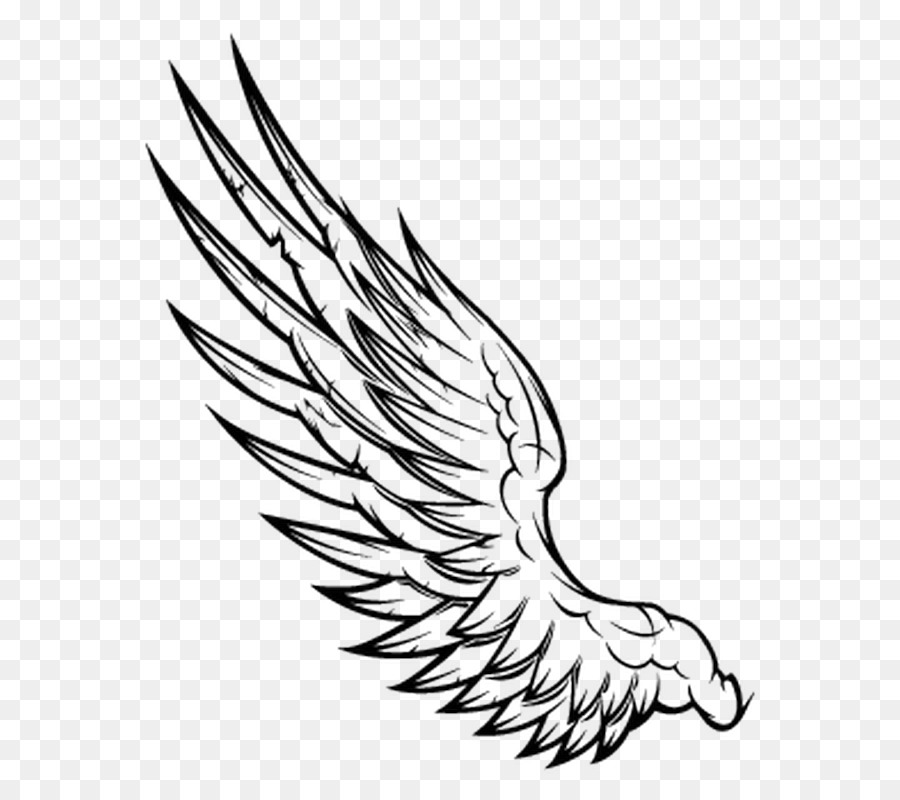 Sleeve tattoo Vector graphics Clip art Angel - angel png download - 800*800 - Free Transparent Tattoo png Download.