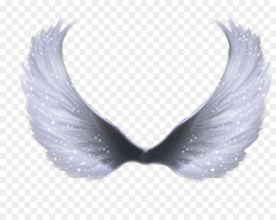 Wing Clip art - Wings png download - 1024*819 - Free Transparent Wing png Download.