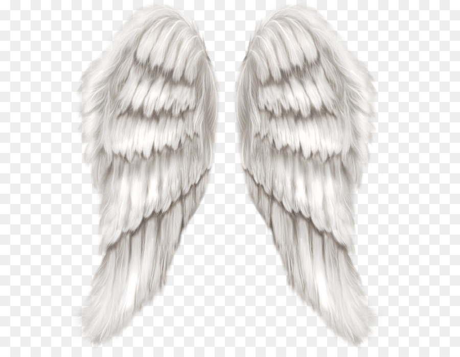 Cherub Wing Angel - White Angel Wings Transparent PNG Clip Art Image png download - 1433*1534 - Free Transparent Cherub png Download.