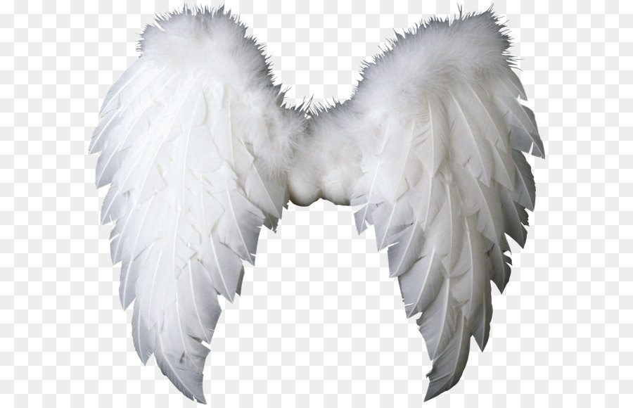 Wing Angel Clip art - Wings PNG png download - 2324*2055 - Free Transparent Photography png Download.
