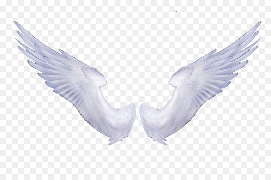 Angel wings Portable Network Graphics Clip art Image Transparency - angel figure png download - 7500*5000 - Free Transparent Angel Wings png Download.