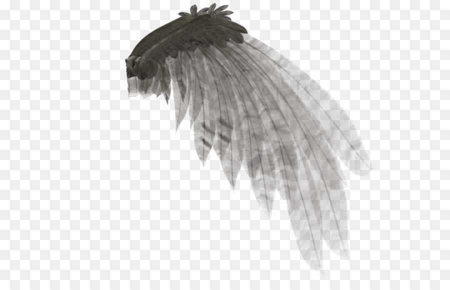 Angel wing Rendering - others png download - 1024*639 - Free Transparent Wing png Download.
