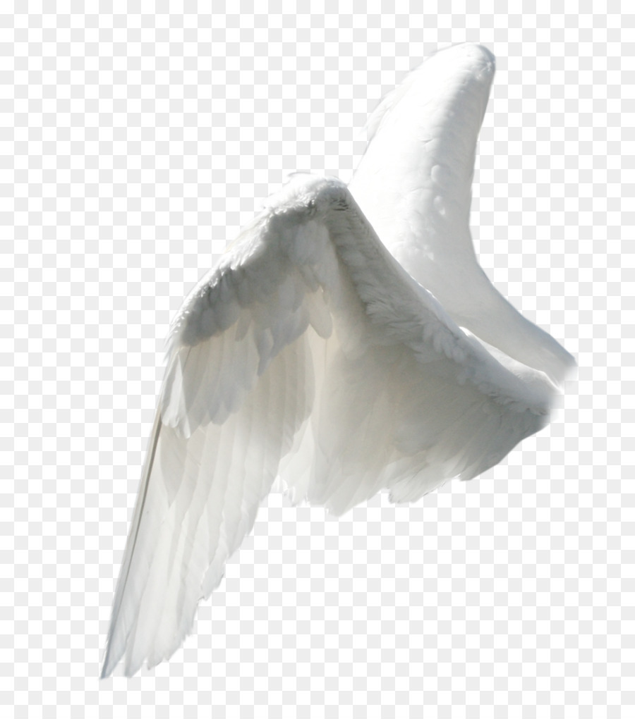 Angel wing Clip art - wing png download - 1414*1602 - Free Transparent Wing png Download.