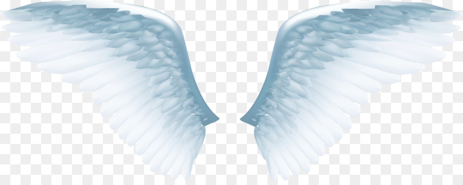 Angel wing Icon - Exquisite white angel wings png download - 1684*659 - Free Transparent Wing png Download.