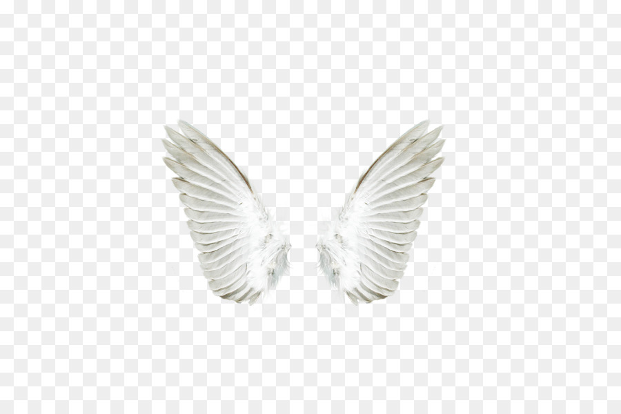 Angel Download - White angel wings png download - 591*591 - Free Transparent Angel png Download.