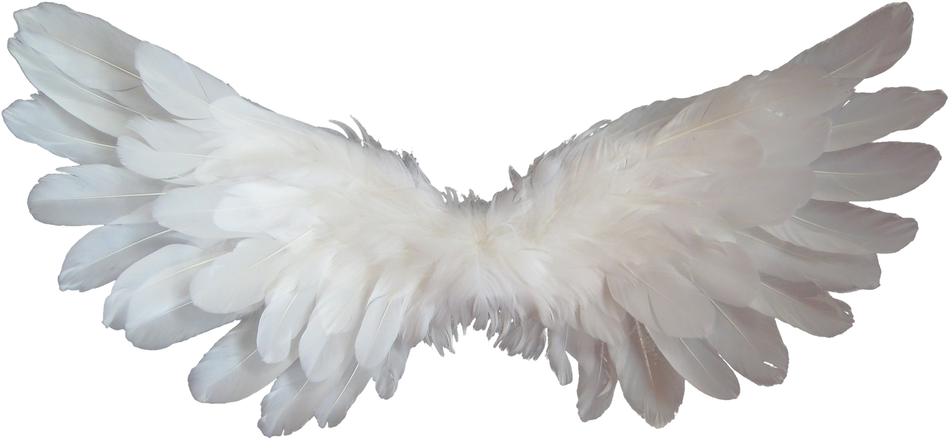 Angel Heaven Clip art - angel wings png download - 1920*888 - Free