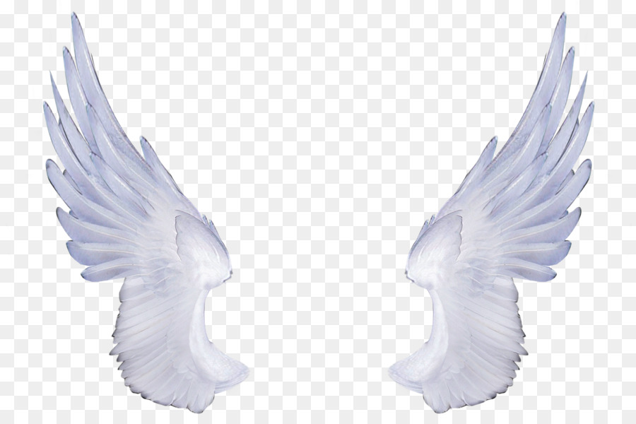 Clip art - Angel Wings Png png download - 1305*870 - Free Transparent Photography png Download.
