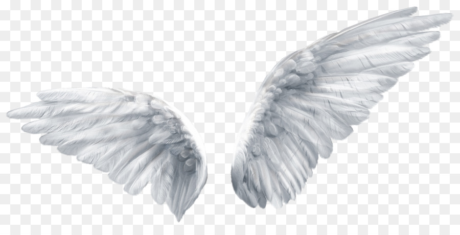 Wing Butterfly Angel Clip art - Angel wings png download - 3200*1600 - Free Transparent Wing png Download.