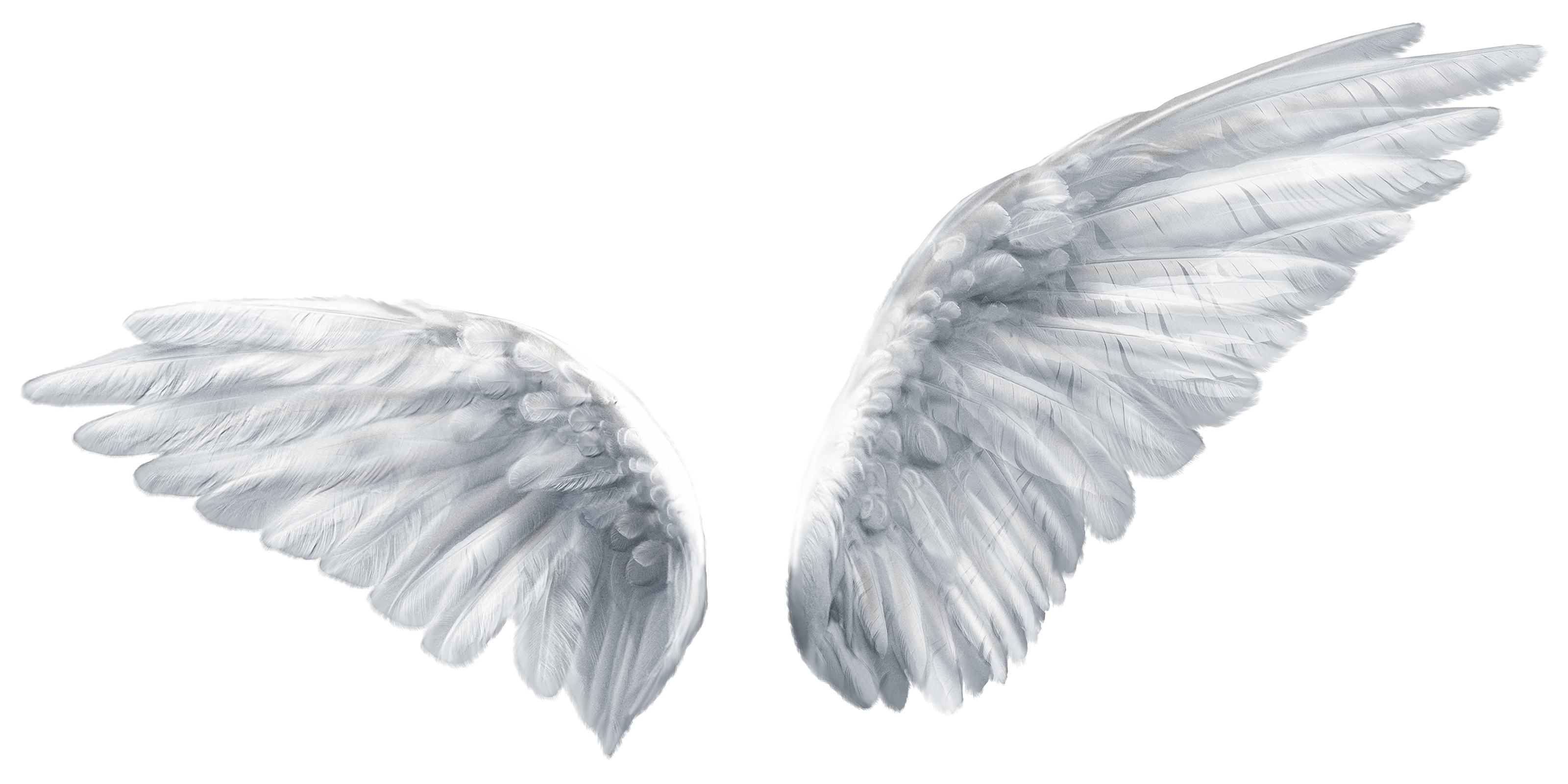 Wing Butterfly Angel Clip art - Angel wings png download - 3200*1600