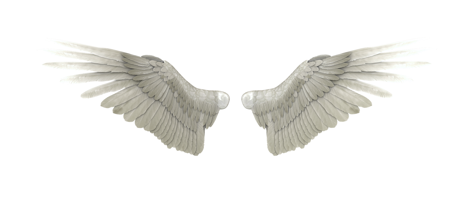 Deviantart Angel Heaven Angel Wings Png Download 1951 850 Free Transparent Deviantart Png Download Clip Art Library