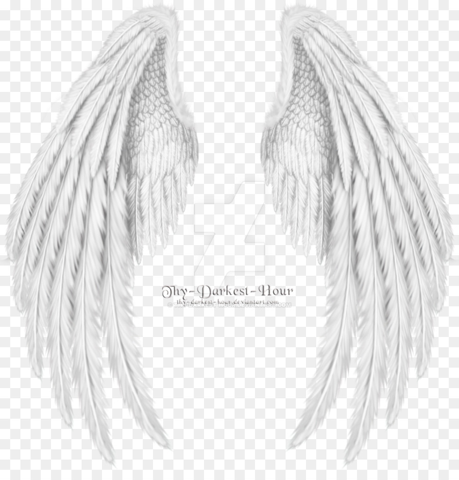Drawing Angel Clip art - angel wings png download - 1024*1059 - Free Transparent Wing png Download.