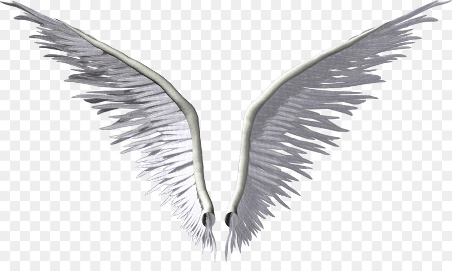 Wing Angel Clip art - Angel wings png download - 1347*783 - Free Transparent Wing png Download.