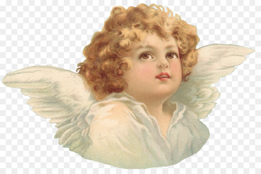 Cherub Angel - angel png download - 982*648 - Free Transparent Cherub png Download.