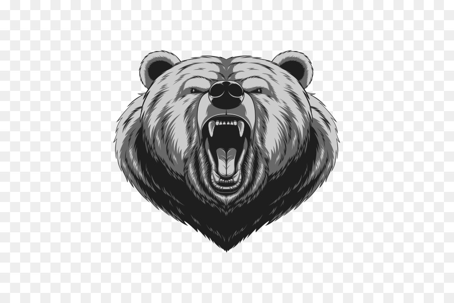 American black bear Drawing - bear png download - 600*600 - Free Transparent Bear png Download.