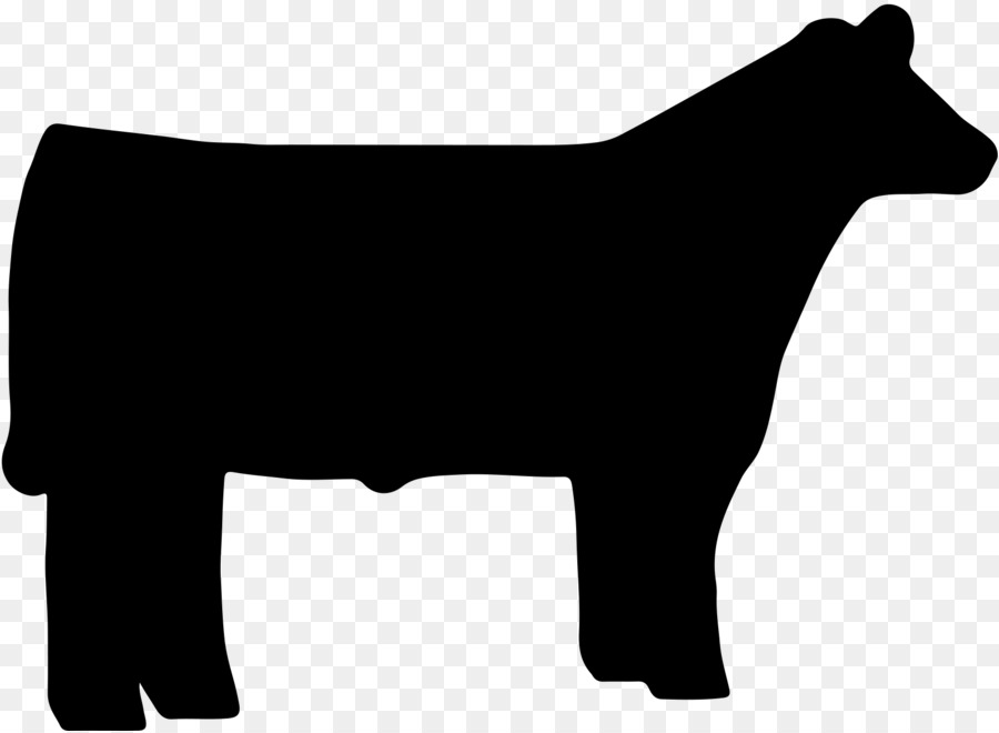 Beef cattle Angus cattle Sheep Livestock show Clip art - cow png download - 1621*1186 - Free Transparent Beef Cattle png Download.