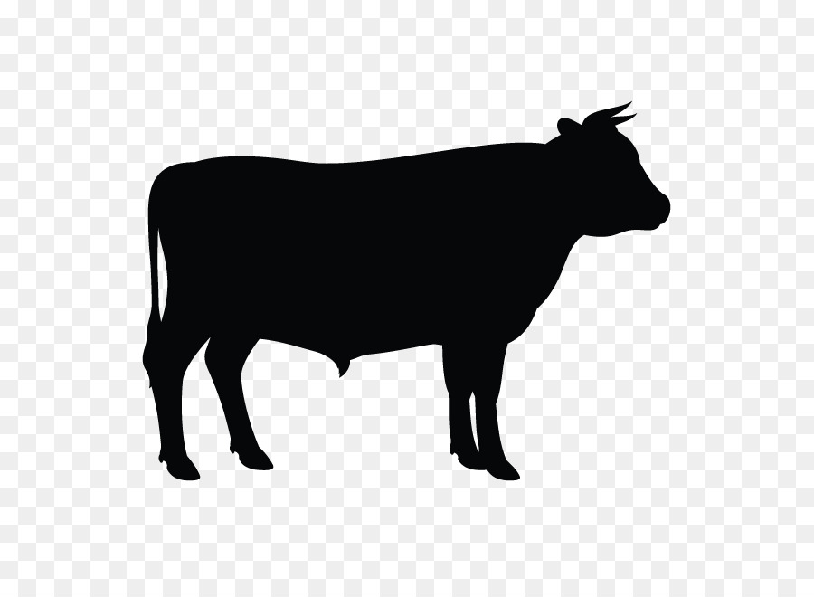 Clip art Vector graphics Angus cattle Silhouette Holstein Friesian cattle - clip art cattle png angus png download - 643*643 - Free Transparent Angus Cattle png Download.