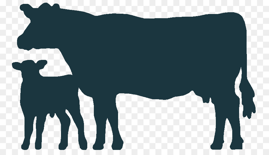 Angus cattle Welsh Black cattle Holstein Friesian cattle Calf Clip art - calf map png download - 831*519 - Free Transparent Angus Cattle png Download.