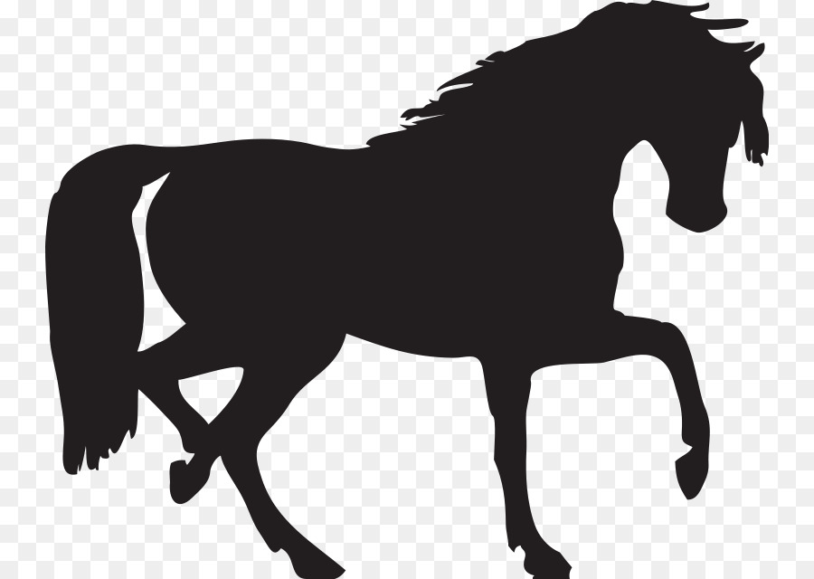 Arabian horse Mustang Silhouette Clip art - Head Silhouette png download - 800*640 - Free Transparent Arabian Horse png Download.